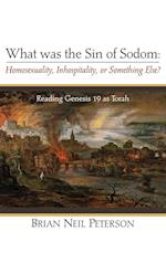 What was the Sin of Sodom