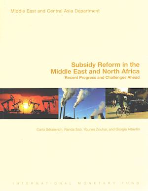 Subsidy Reform in the Middle East and North Africa