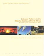 Subsidy Reform in the Middle East and North Africa