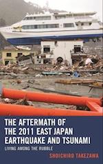 Aftermath of the 2011 East Japan Earthquake and Tsunami