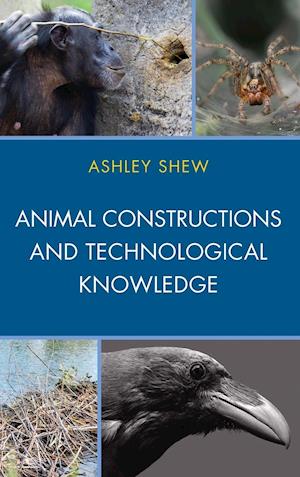 Animal Constructions and Technological Knowledge