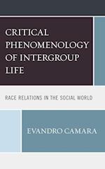 The Critical Phenomenology of Intergroup Life