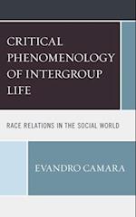 Critical Phenomenology of Intergroup Life