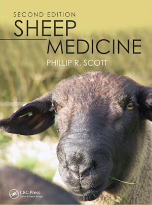 Sheep Medicine