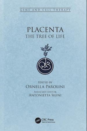 Placenta