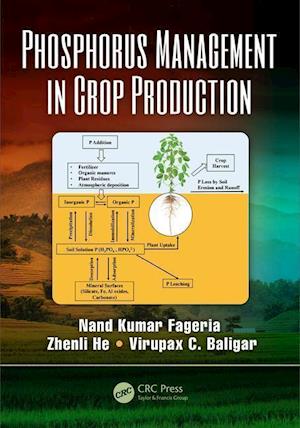 Phosphorus Management in Crop Production