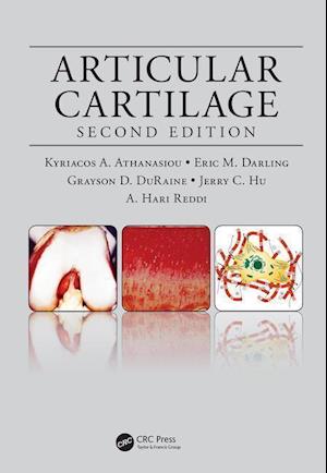 Articular Cartilage