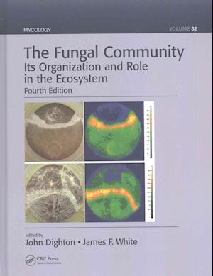The Fungal Community