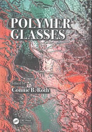 Polymer Glasses
