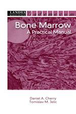 Bone Marrow