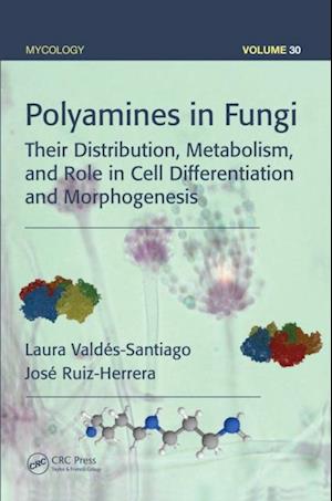 Polyamines in Fungi