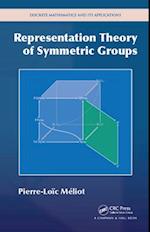 Representation Theory of Symmetric Groups