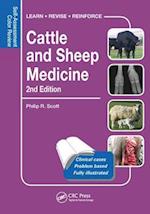 Cattle and Sheep Medicine