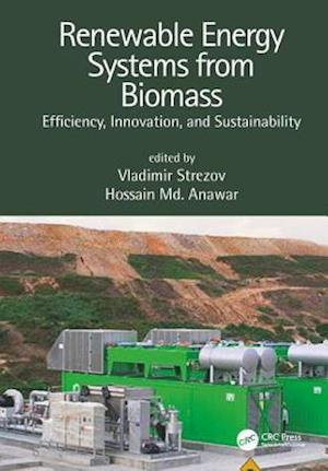 Renewable Energy Systems from Biomass