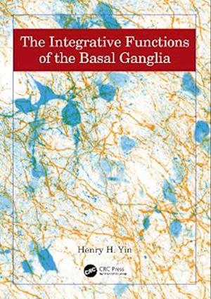 Integrative Functions of The Basal Ganglia