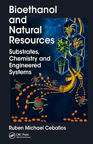 Bioethanol and Natural Resources