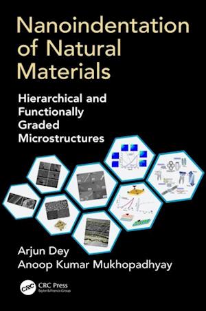 Nanoindentation of Natural Materials