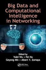 Big Data and Computational Intelligence in Networking