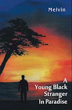 Young Black Stranger in Paradise