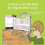 A Sister's on the Way for Big Brother Clay