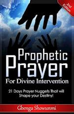 Prophetic Prayer for Divine Intervention