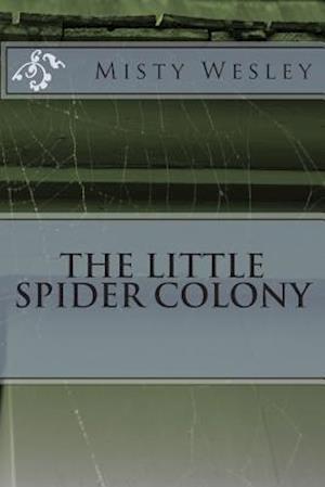 The Little Spider Colony