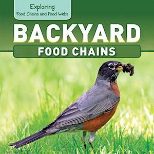 Backyard Food Chains