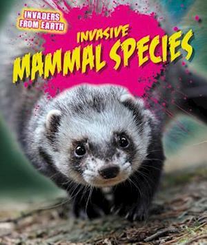 Invasive Mammal Species