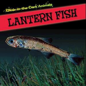 Lantern Fish