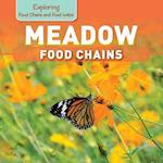 Meadow Food Chains