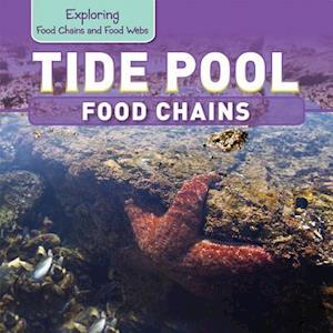 Tide Pool Food Chains