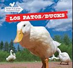 Los Patos / Ducks