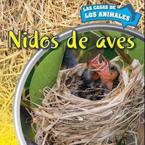 Nidos de Aves (Inside Bird Nests)