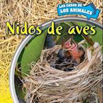 Nidos de Aves (Inside Bird Nests)