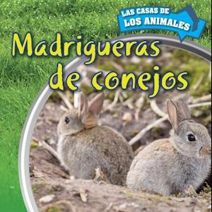 Madrigueras de Conejos (Inside Rabbit Burrows)