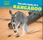 The Life Cycle of a Kangaroo