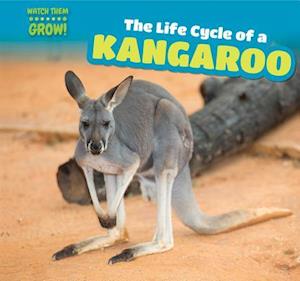 The Life Cycle of a Kangaroo