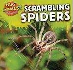 Scrambling Spiders