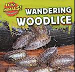 Wandering Woodlice