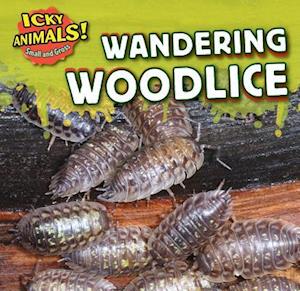 Wandering Woodlice