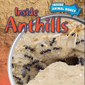 Inside Anthills