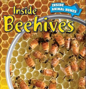 Inside Beehives