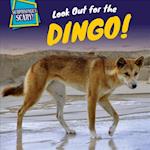 Look Out for the Dingo!