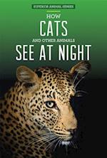 How Cats and Other Animals See at Night