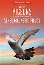 How Pigeons and Other Animals Sense Magnetic Fields