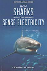 How Sharks and Other Animals Sense Electricity