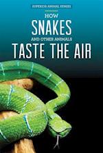 How Snakes and Other Animals Taste the Air