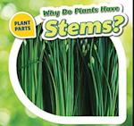 Why Do Plants Have Stems?