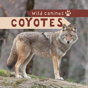 Coyotes