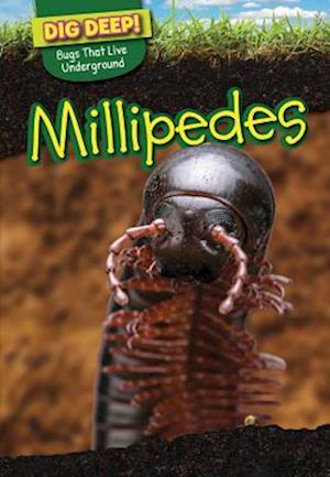 Millipedes